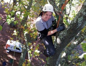 tree climbing training