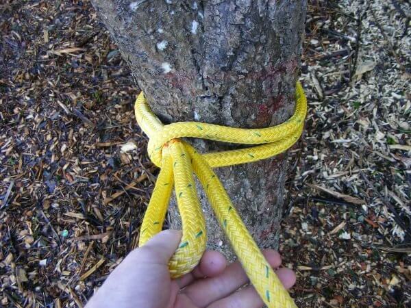 Rigging with the Port-a-Wrap - Article - Pro Climb Arborists Tree ...